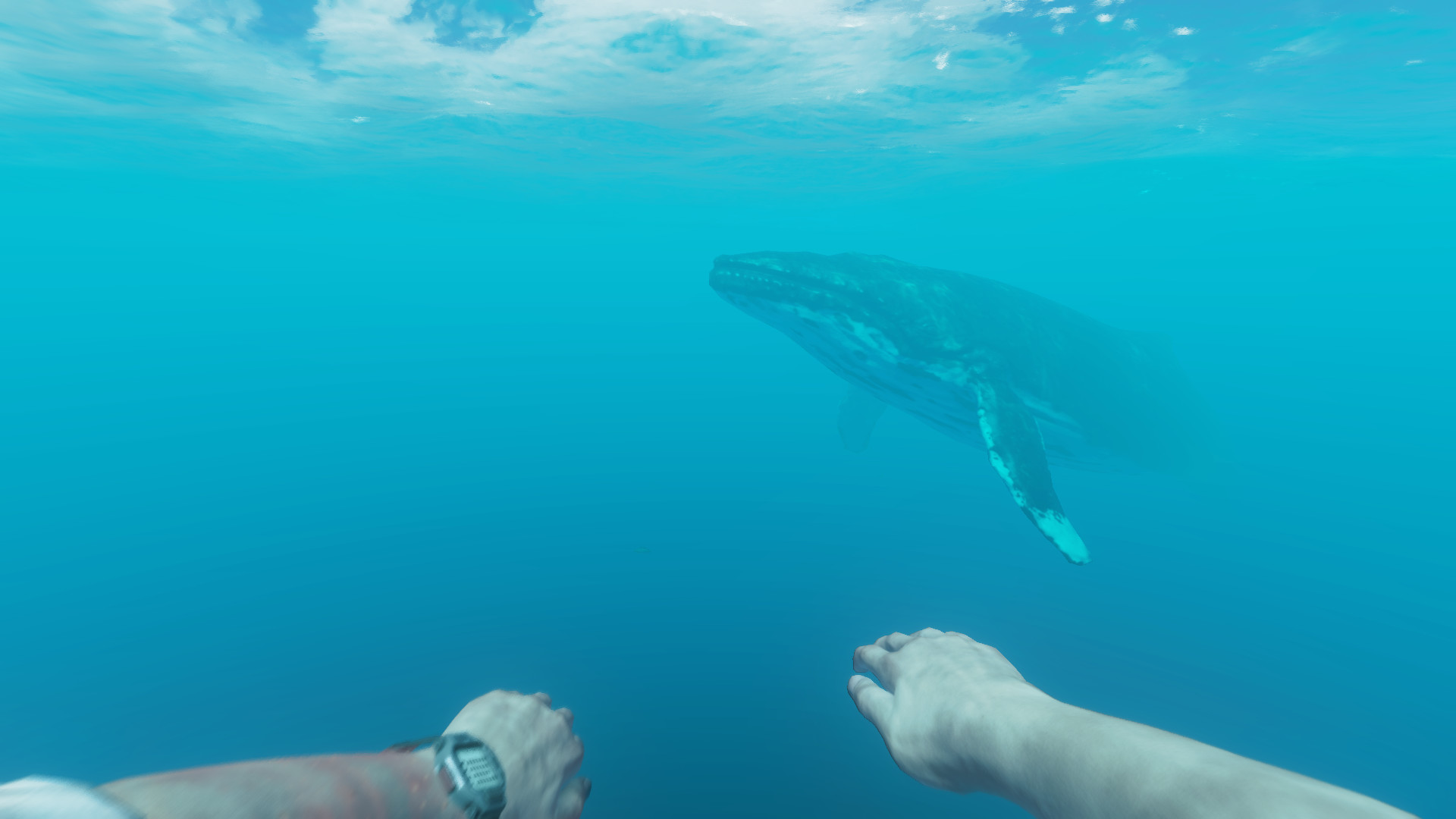 Stranded Deep — изображение 10