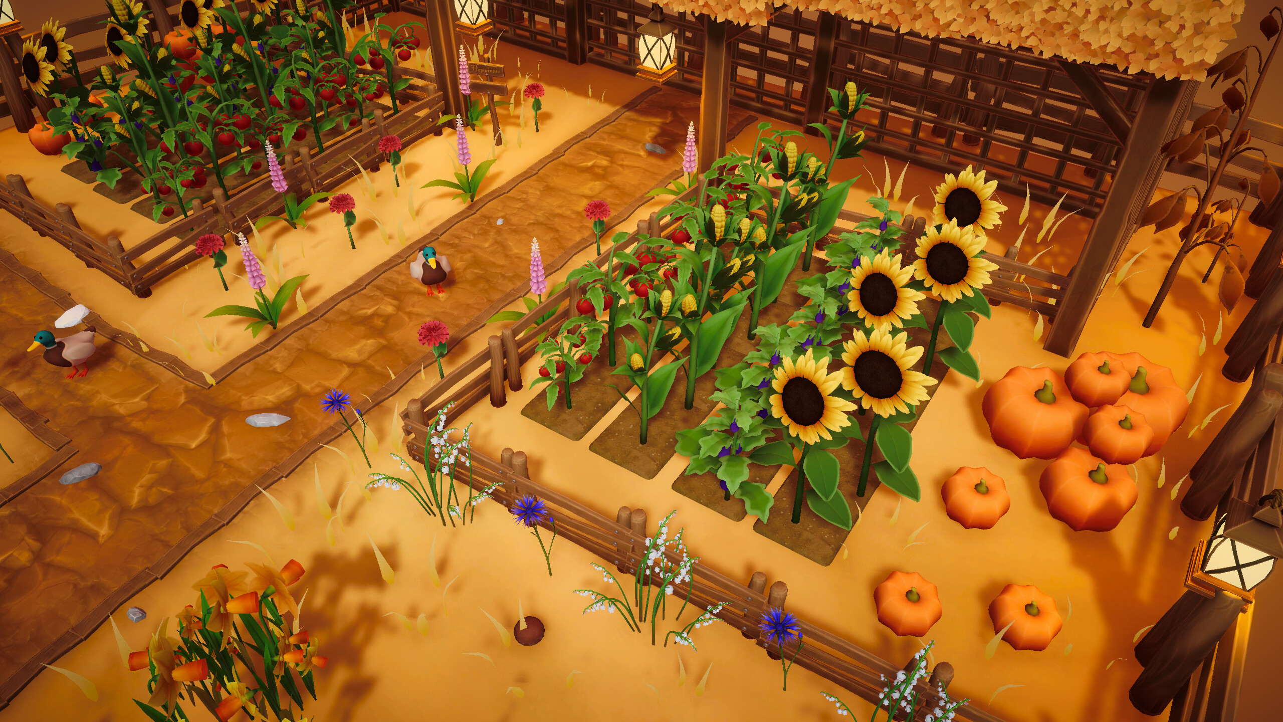 Cozyrama screenshot 15