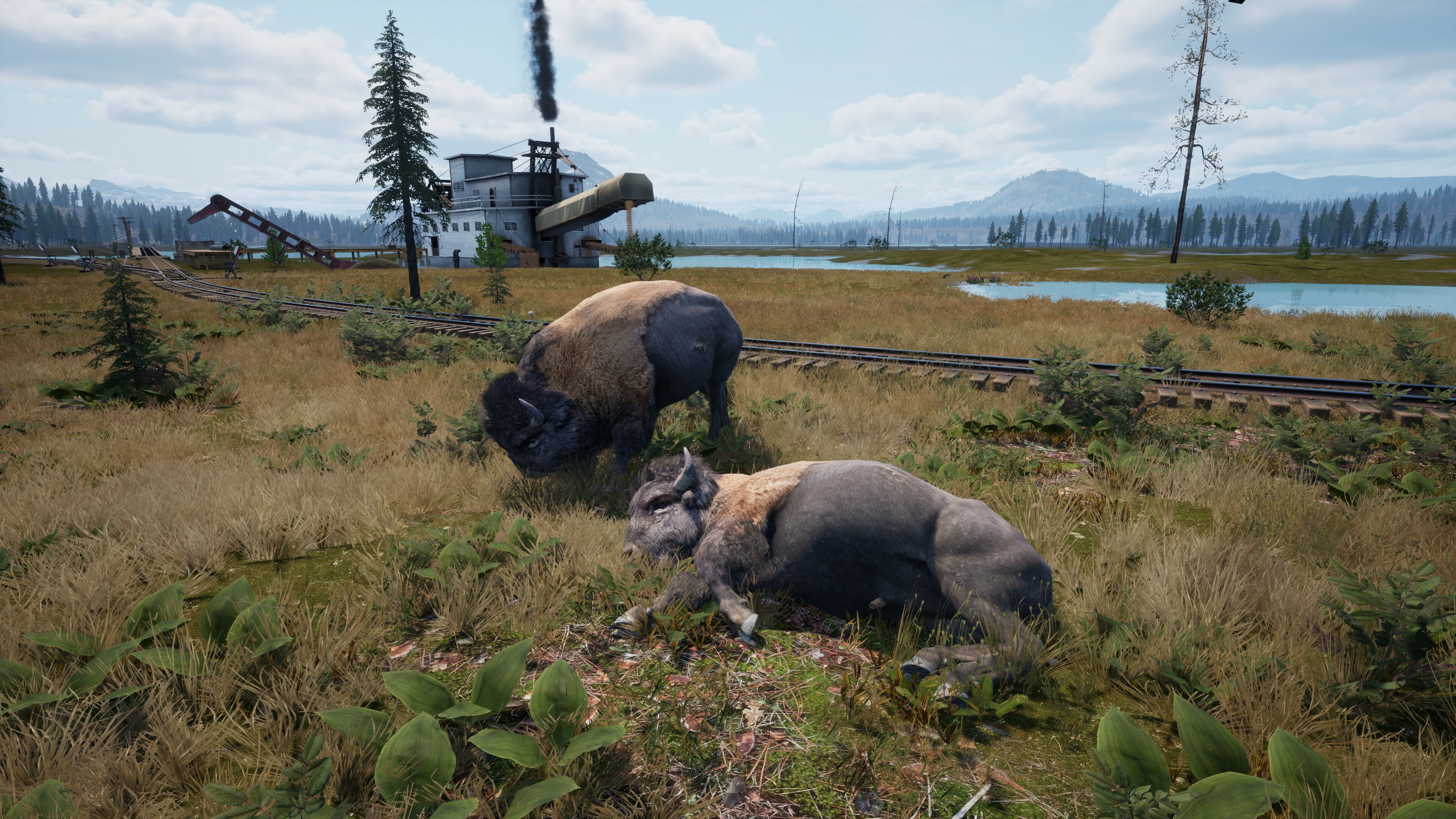 Railroads Online - Explorer DLC screenshot 7