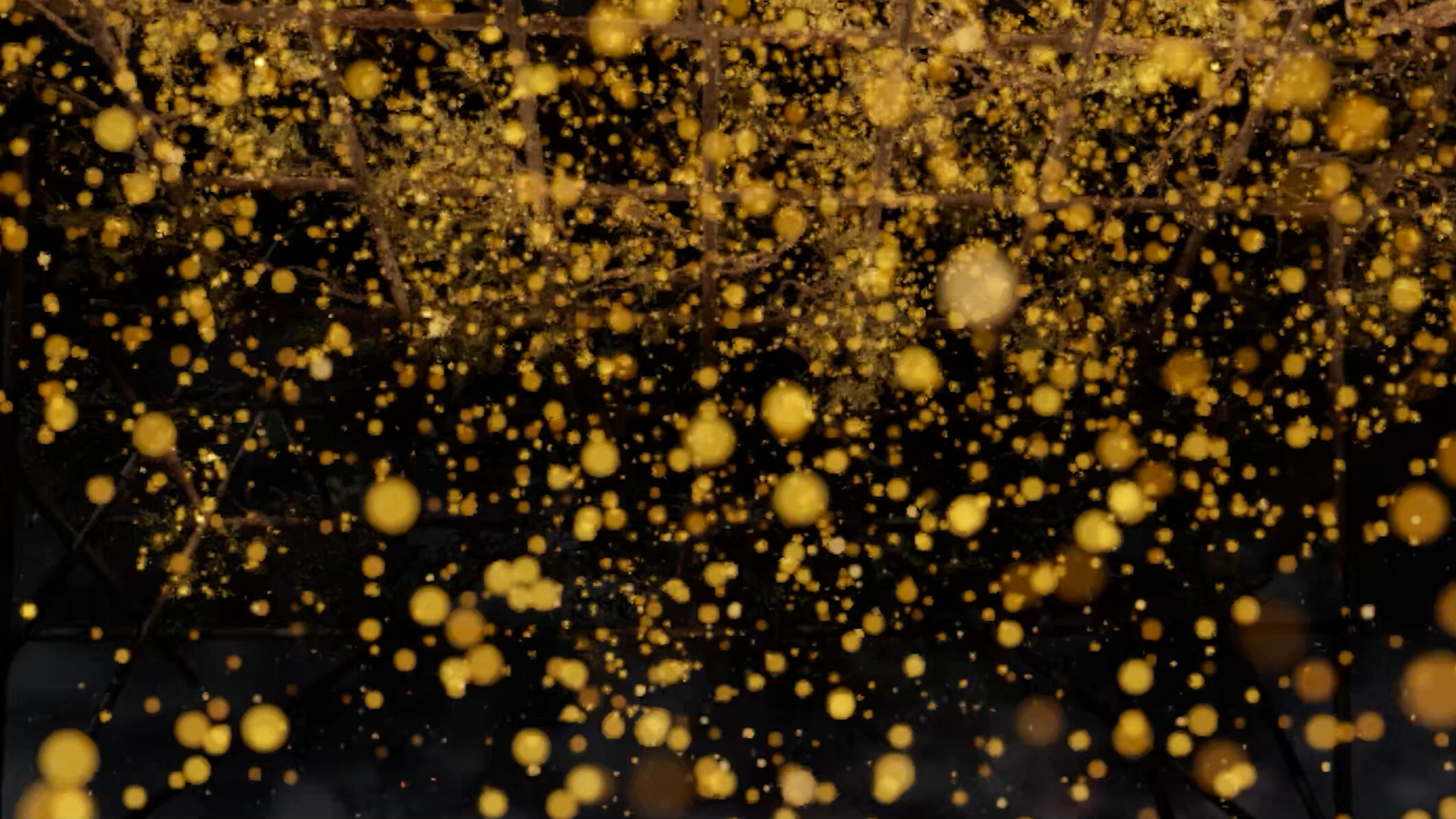 Cast Iron Flowers screenshot 5