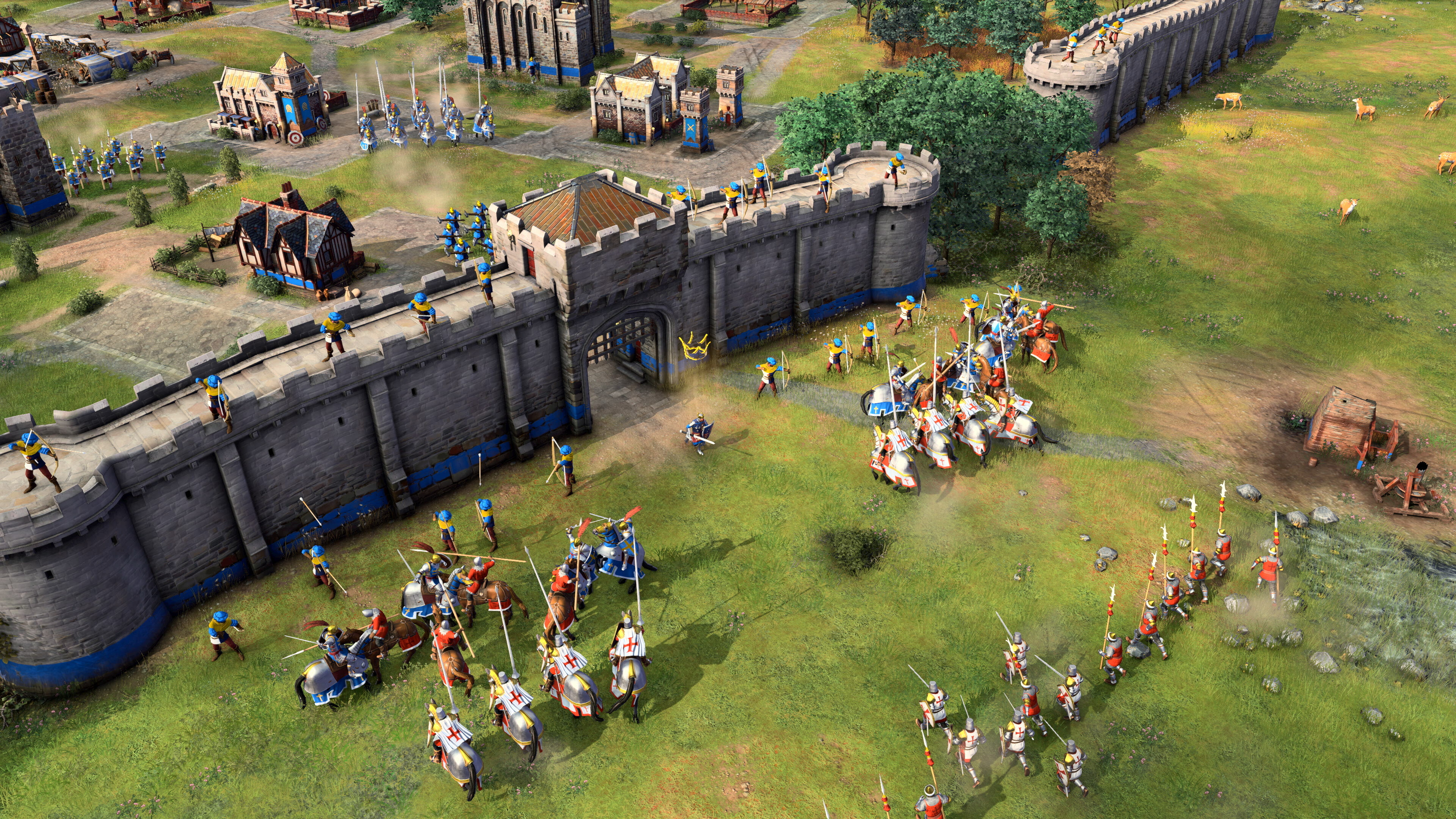 Age of Empires IV: Knights of Cross and Rose screenshot 5