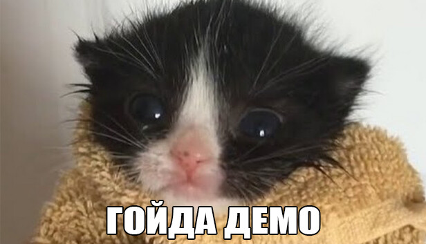 МЕМОЛОГИЯ: ЕГЭ ПО МЕМАМ Demo