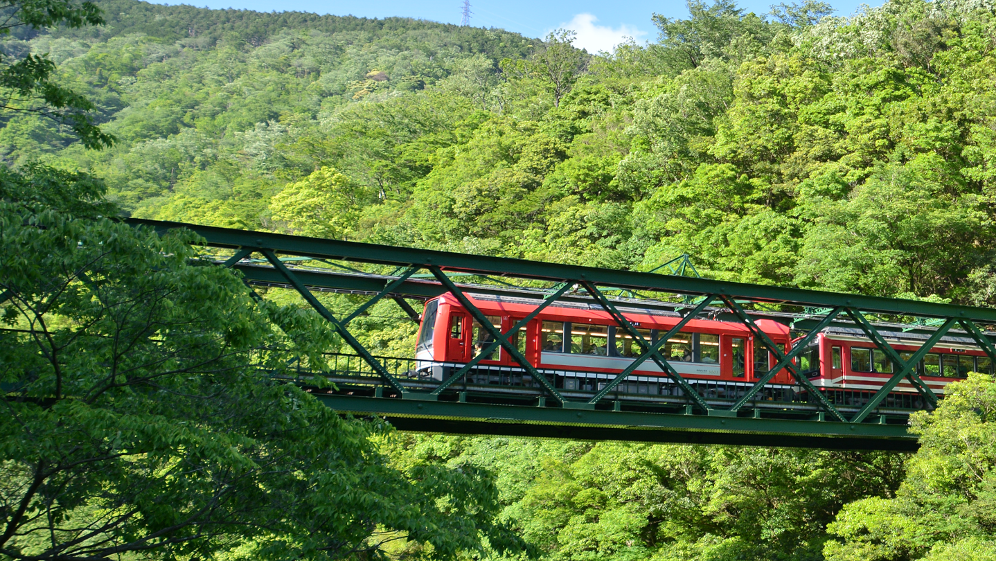 Steamで40% OFF：鉄道にっぽん！路線たびEX 登山電車 小田急箱根編