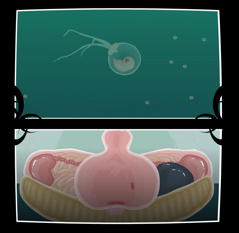 COIL screenshot 4