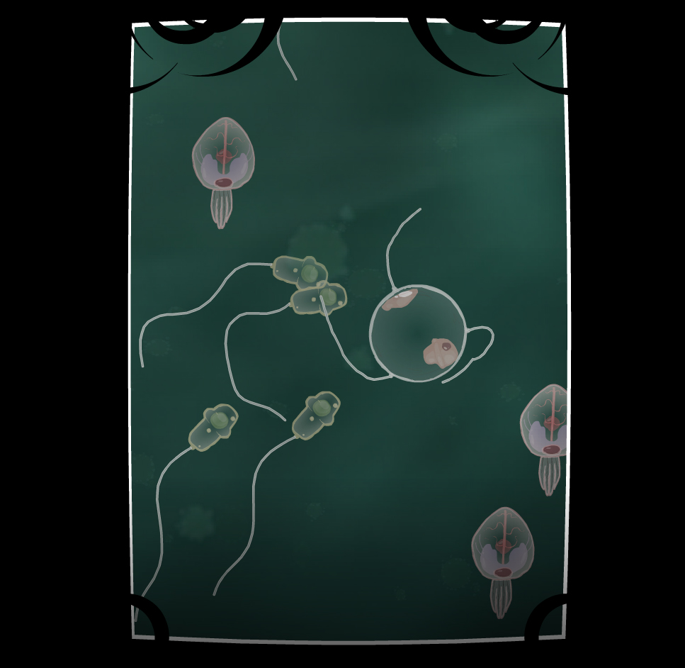 COIL screenshot 5