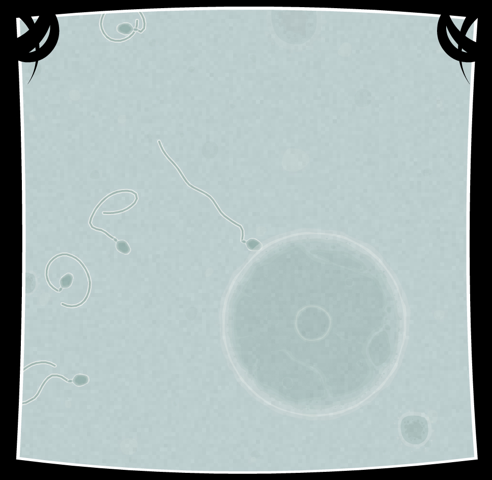 COIL screenshot 8