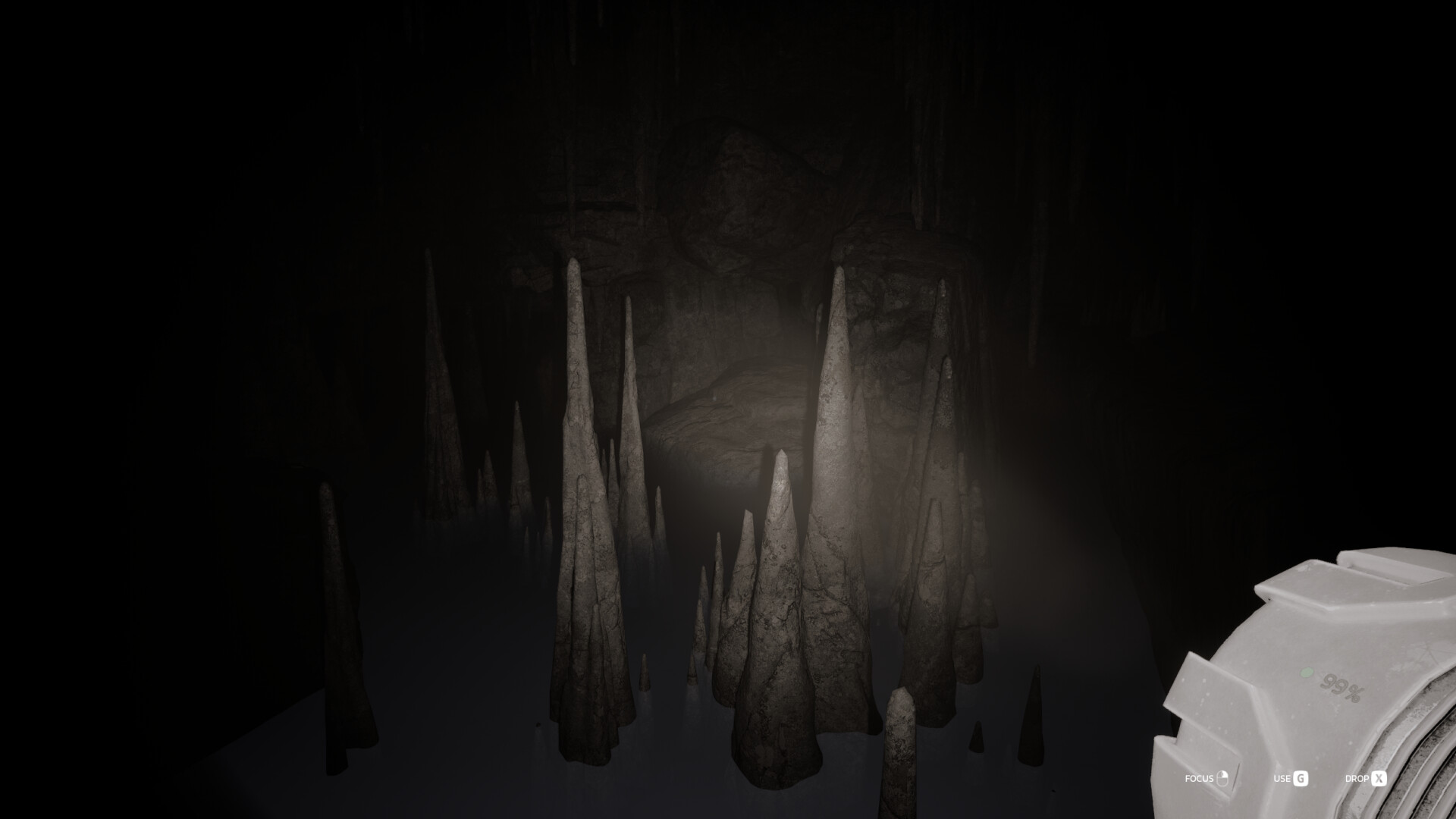 Echoing Silence screenshot 4