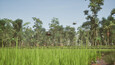 Screenshot #9