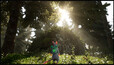 Screenshot #1