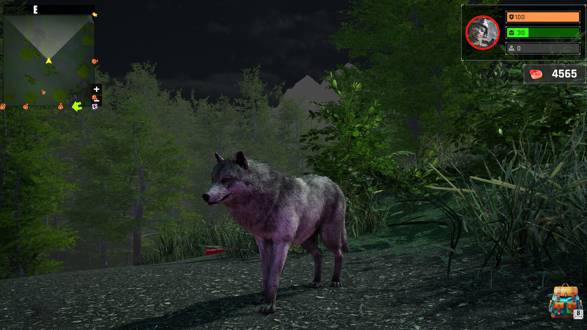 Wolf Simulator: Silent Paws screenshot 3