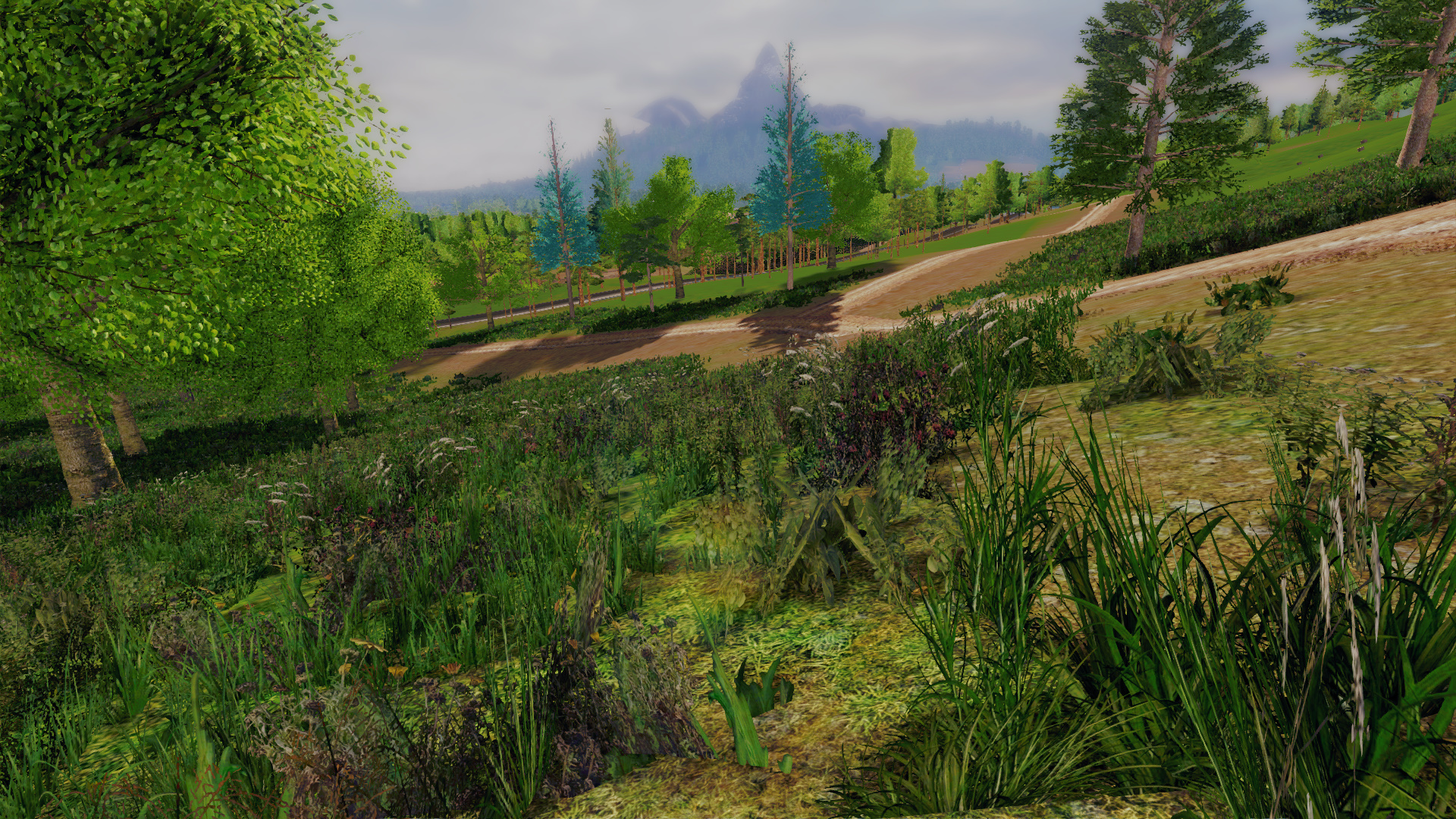 Professional Lumberjack 2015 screenshot 10