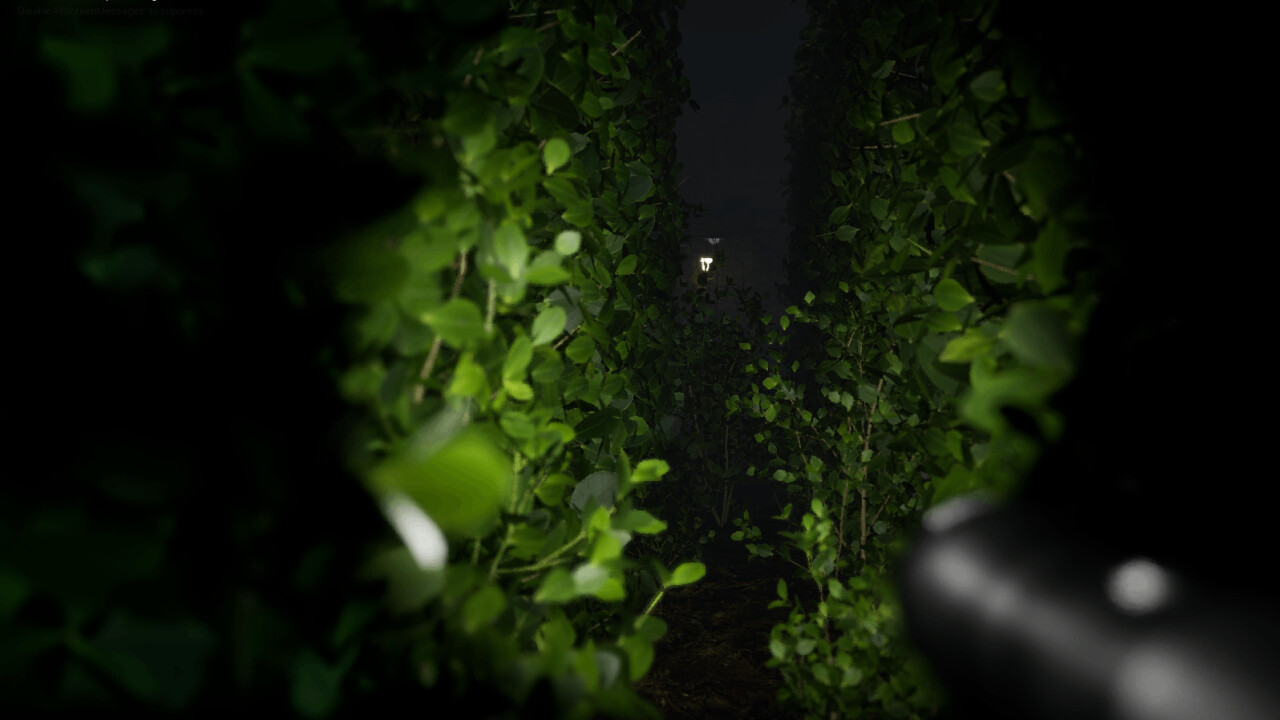 Cursed Maze screenshot 4