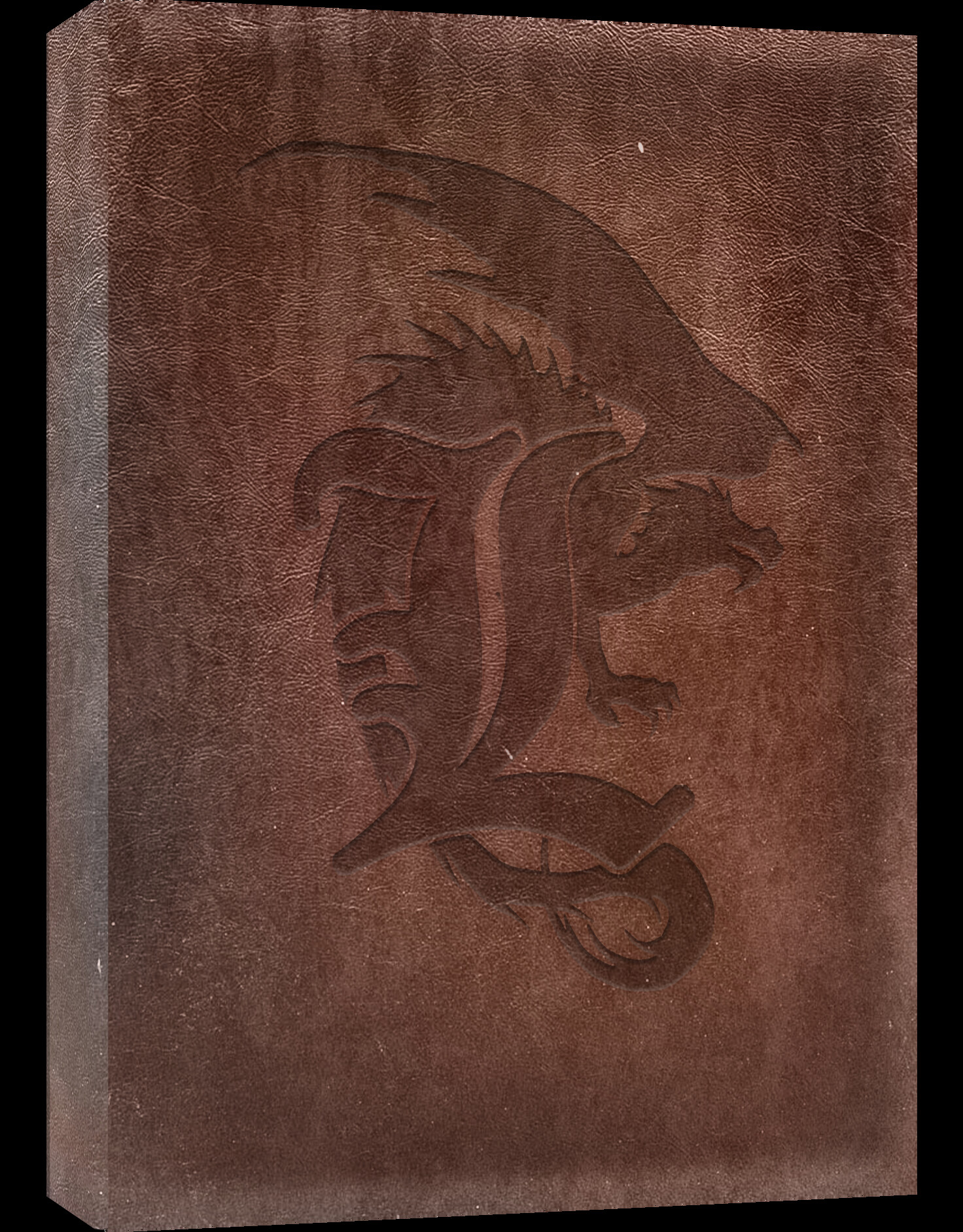 Lindwyrm - Guide screenshot 1
