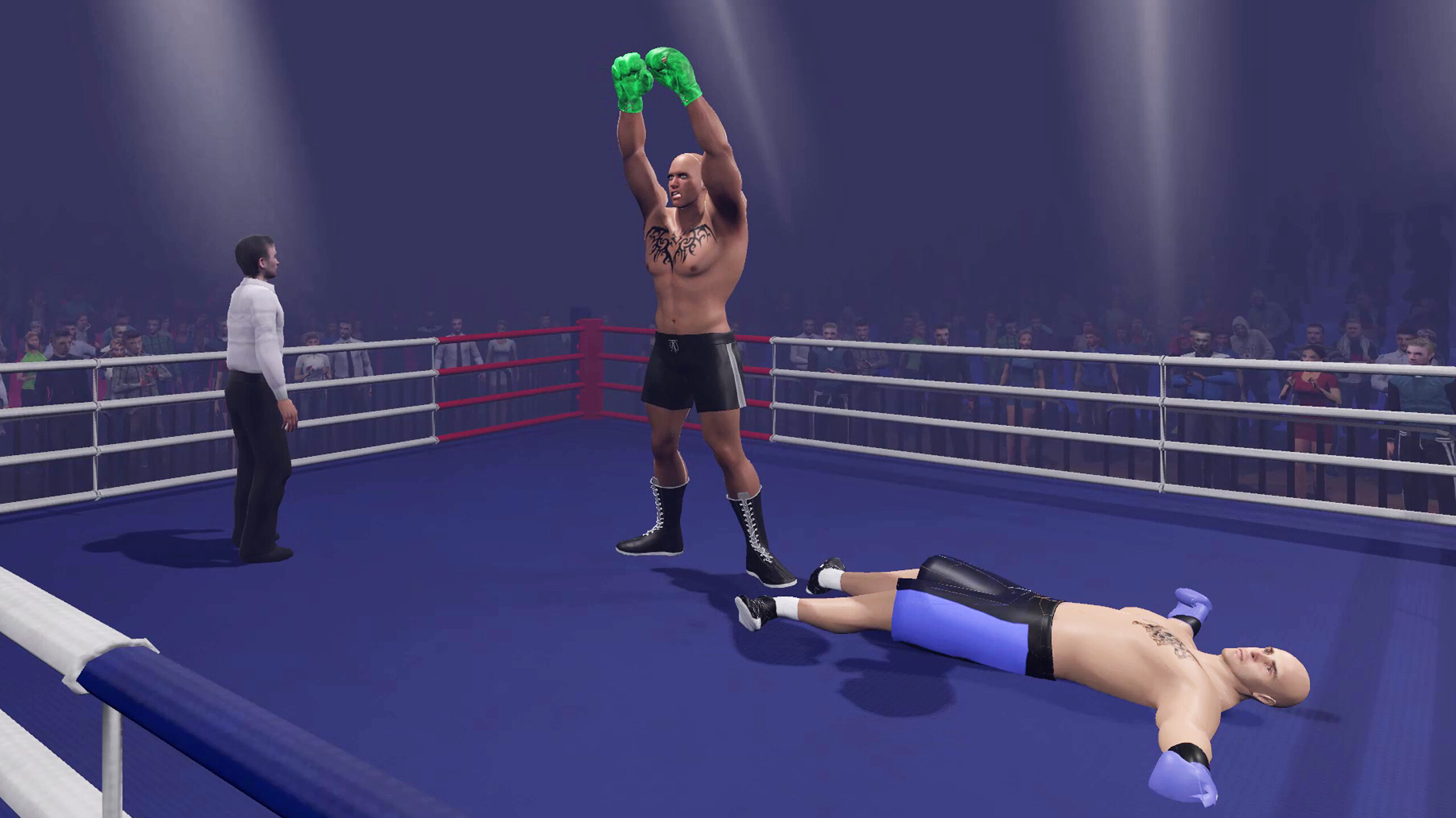 Boxing Knockout Showdown screenshot 6