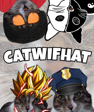 Catwifhat