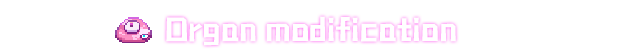 1y.png