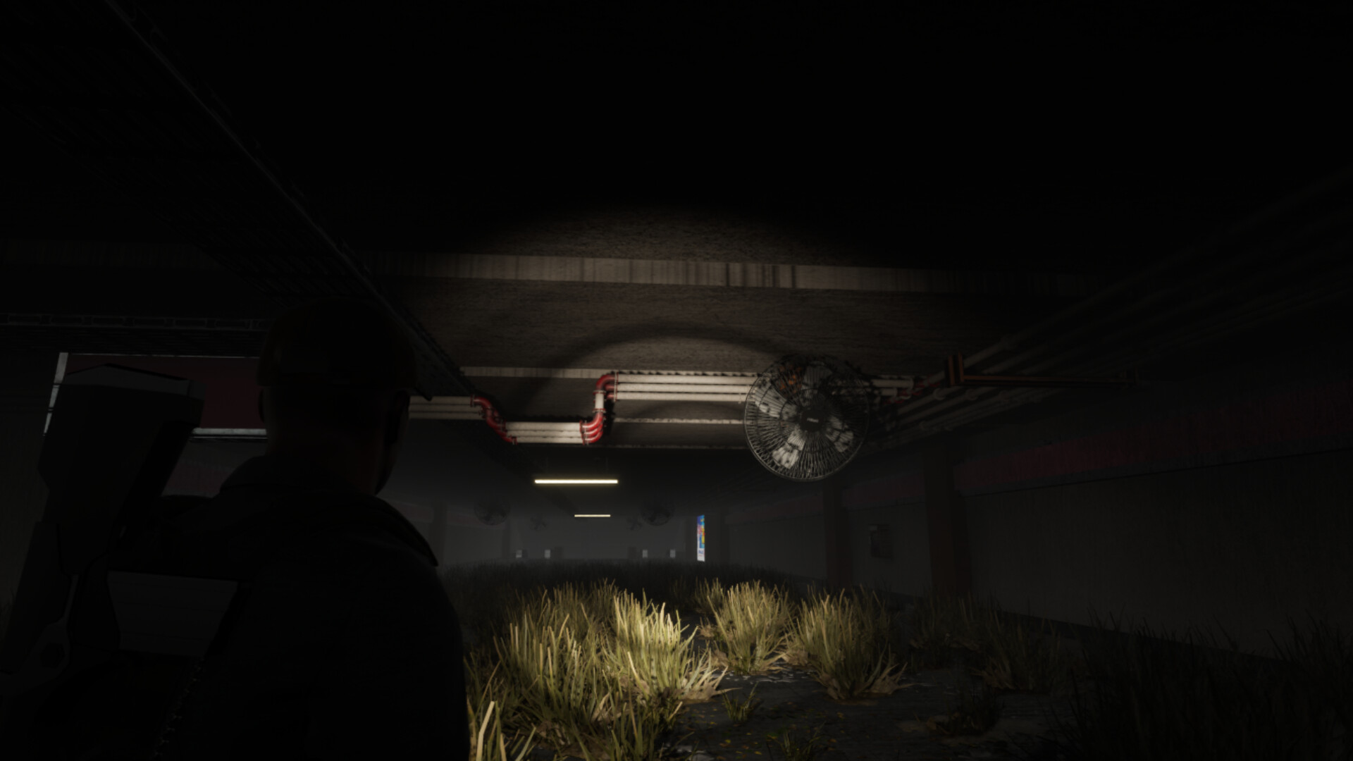 DOCE screenshot 2