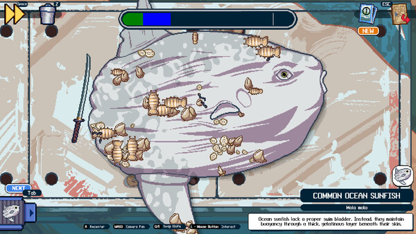 Scale the Depths screenshot