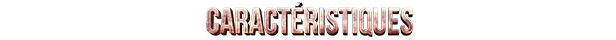 PRESENTATION - Skull Horde 5 fr F | RPG Jeuxvidéo