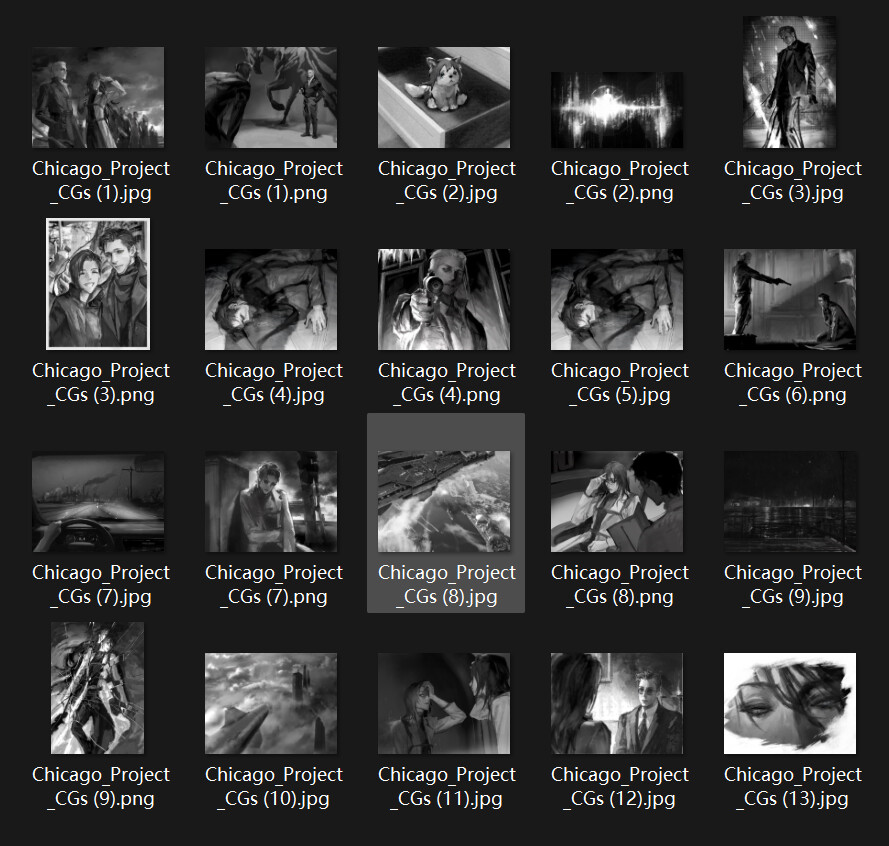 Chicago Project Illustrations screenshot 1