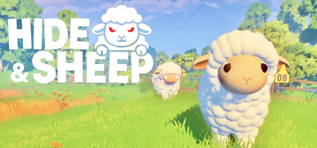 Hide and Sheep