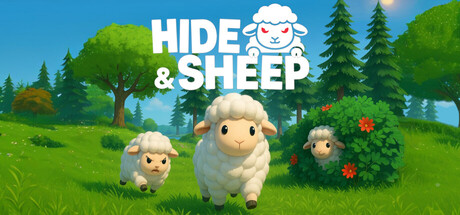 Hide and Sheep