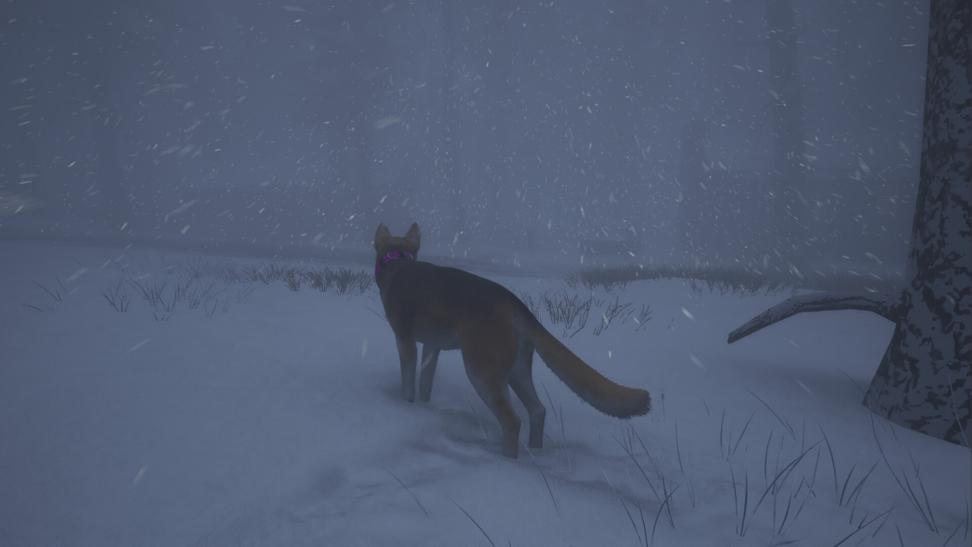 The Good Dog: Chasing Shadows screenshot 5