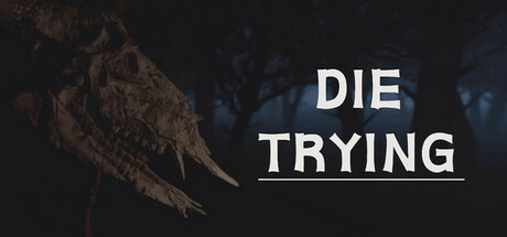 DIE TRYING Cover Image
