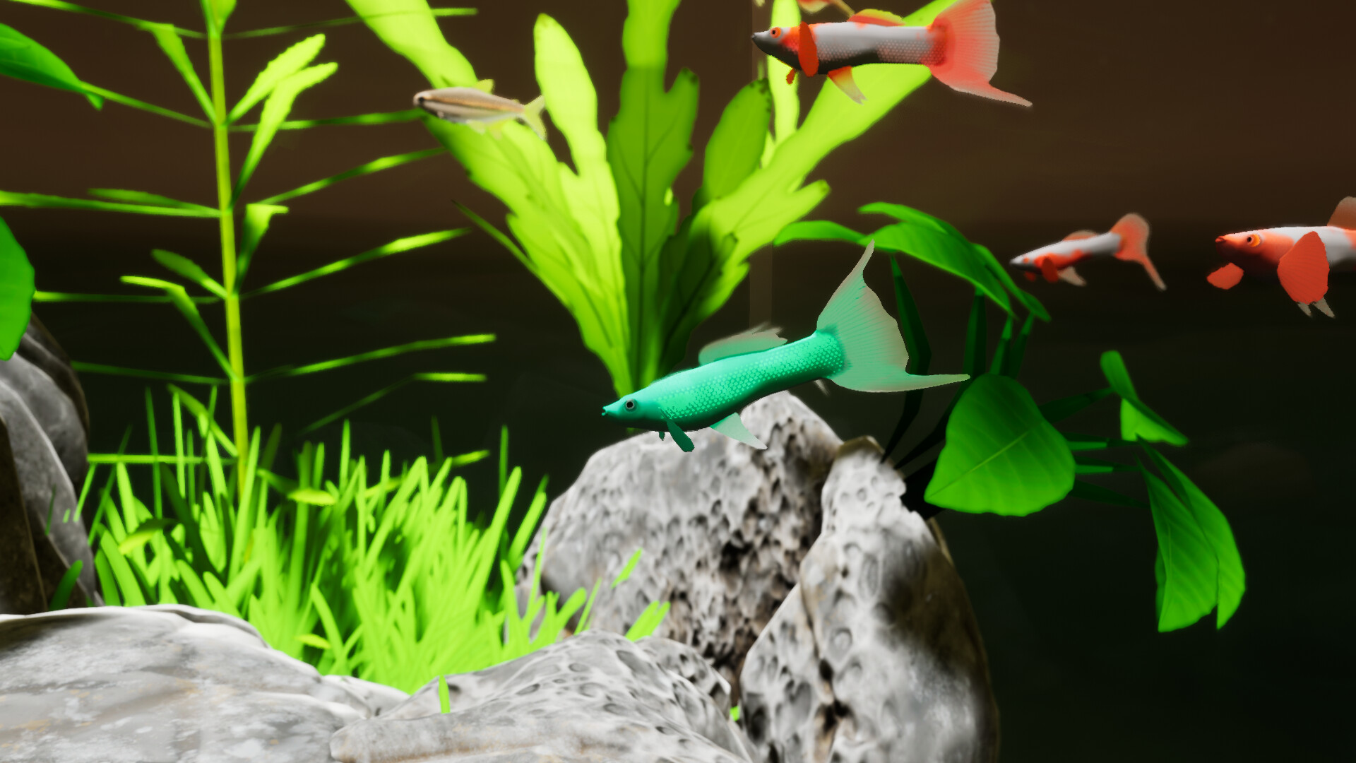 Fish Game - Free Fish Pack screenshot 4