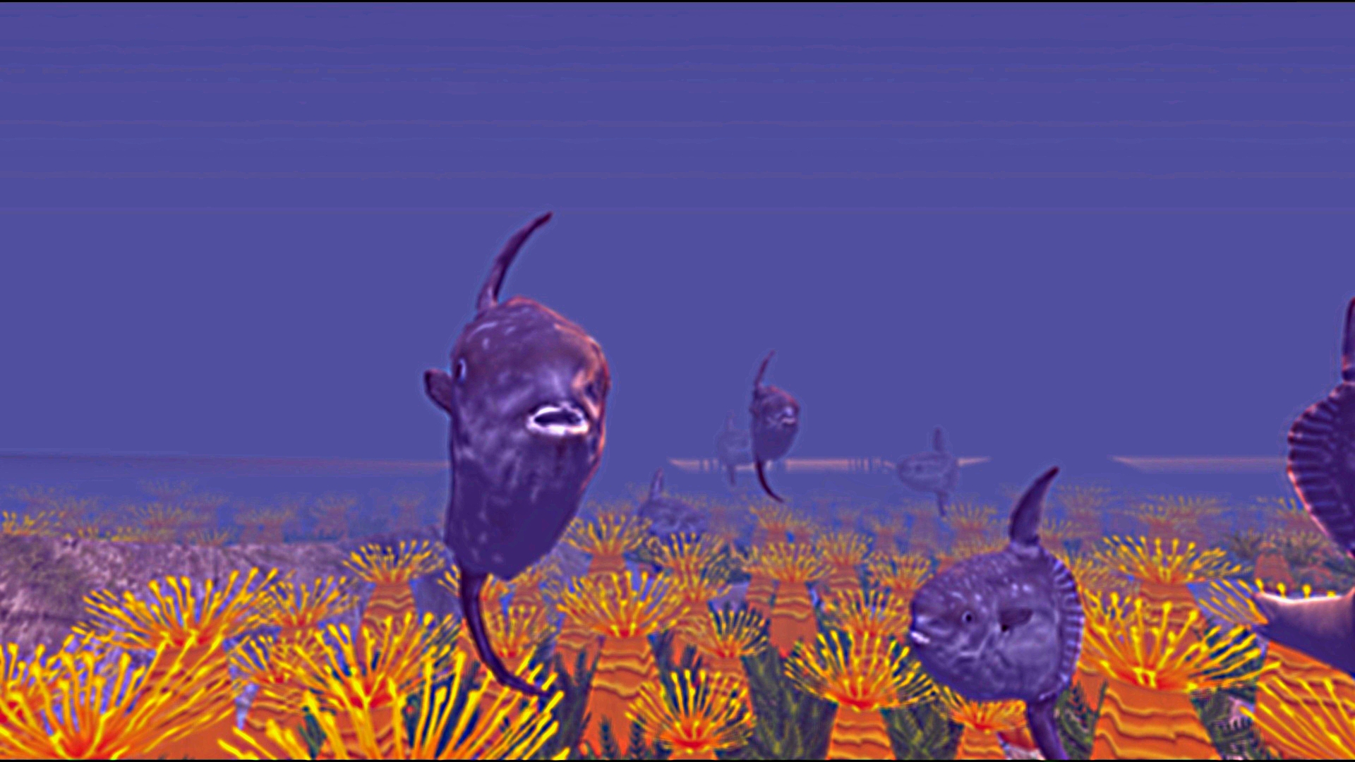 Zen Fish SIM screenshot 12