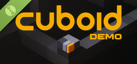 CUBOID Demo