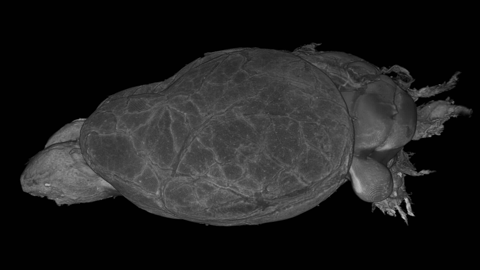 Tomography VR screenshot 5
