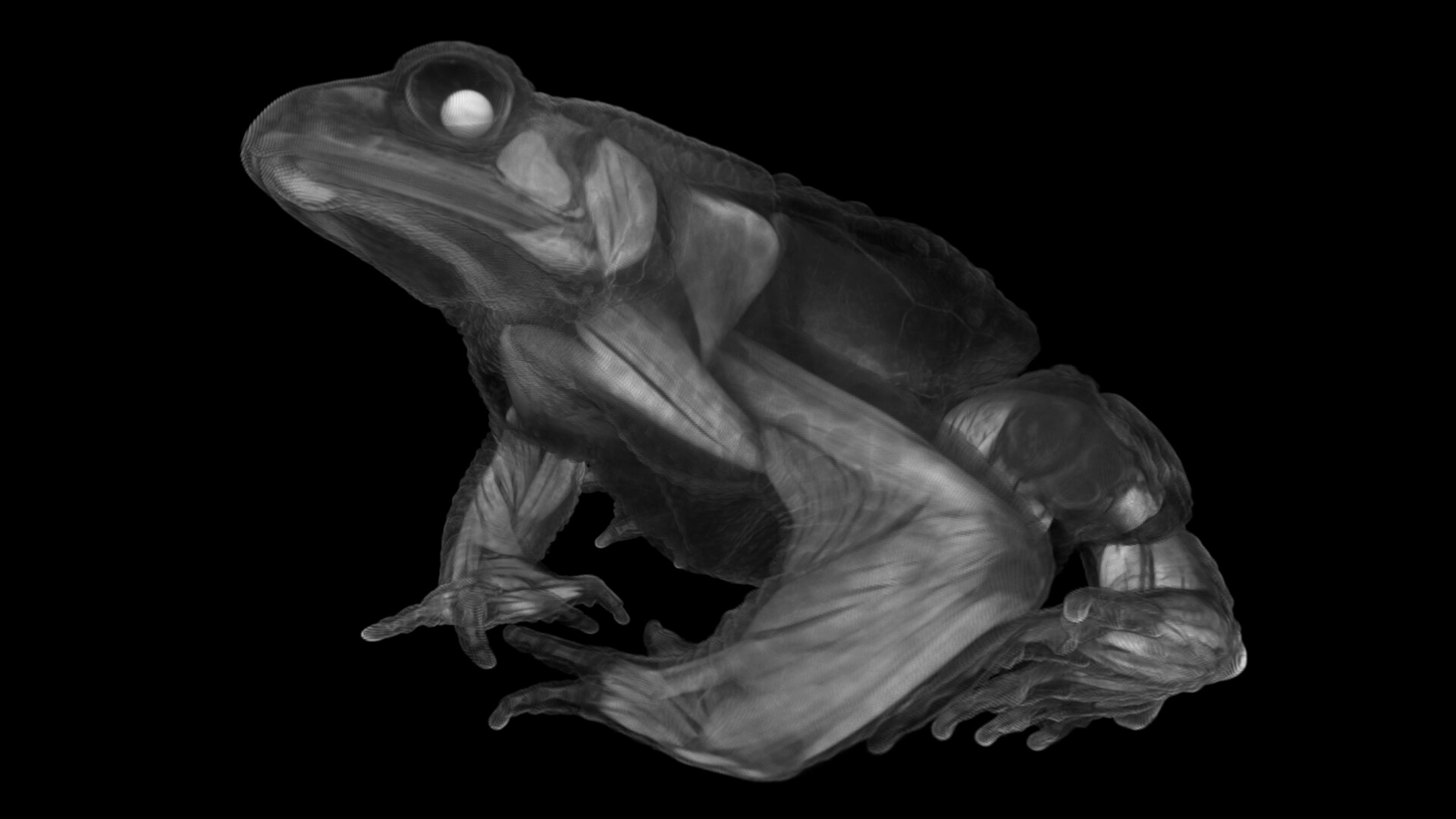Tomography VR screenshot 2