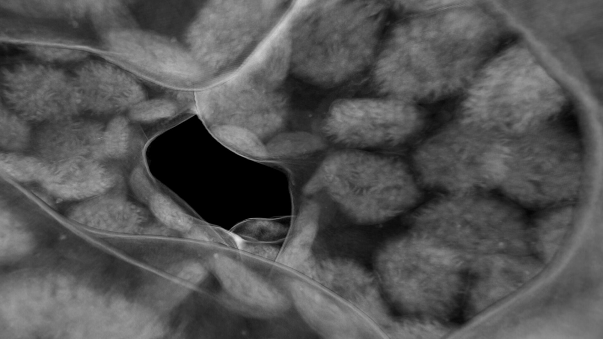 Tomography VR screenshot 7