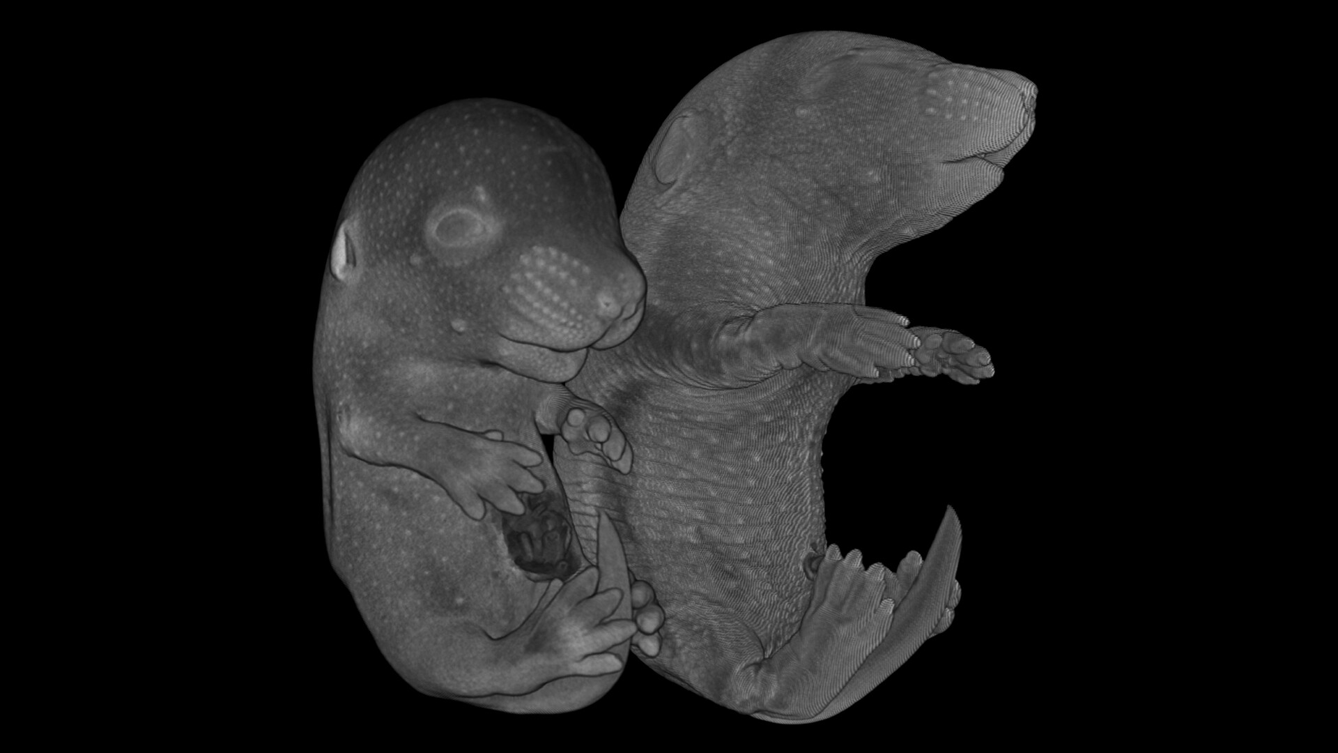 Tomography VR screenshot 4