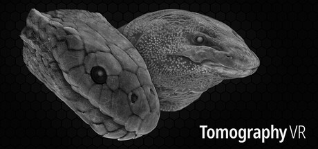 Tomography VR