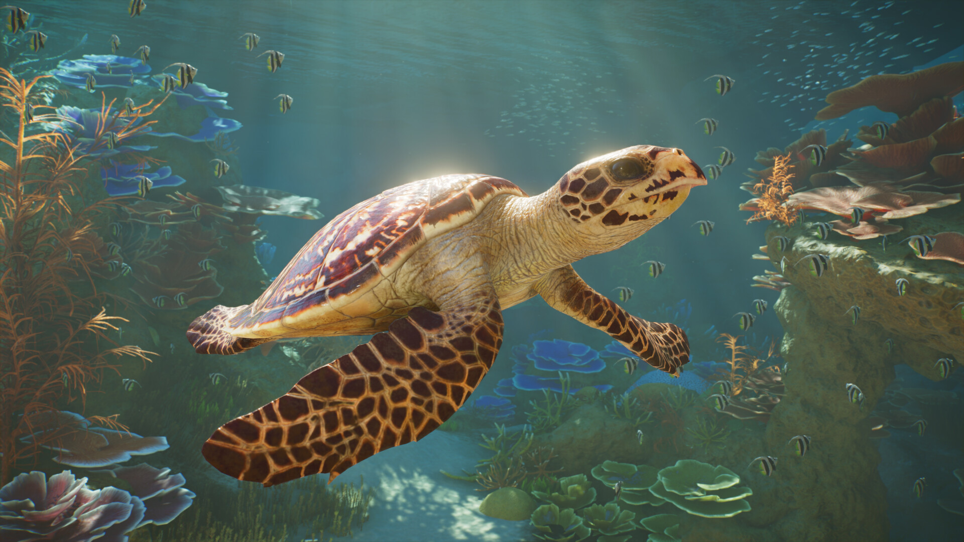 Planet Zoo 2 — изображение 2
