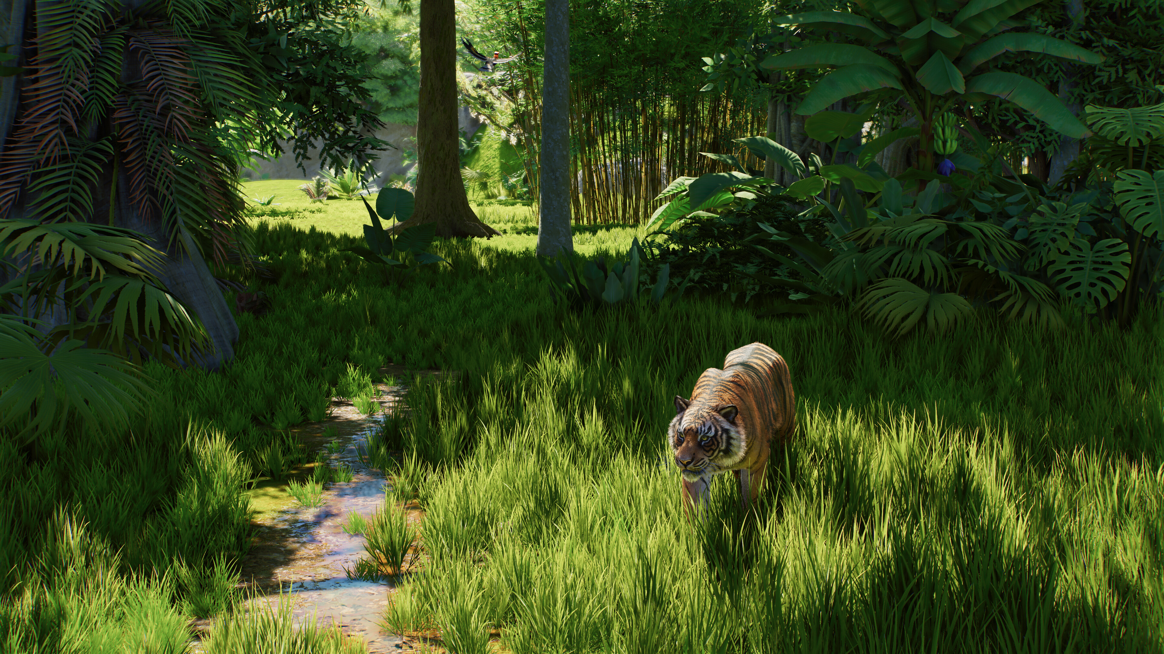 Planet Zoo 2 screenshot 9