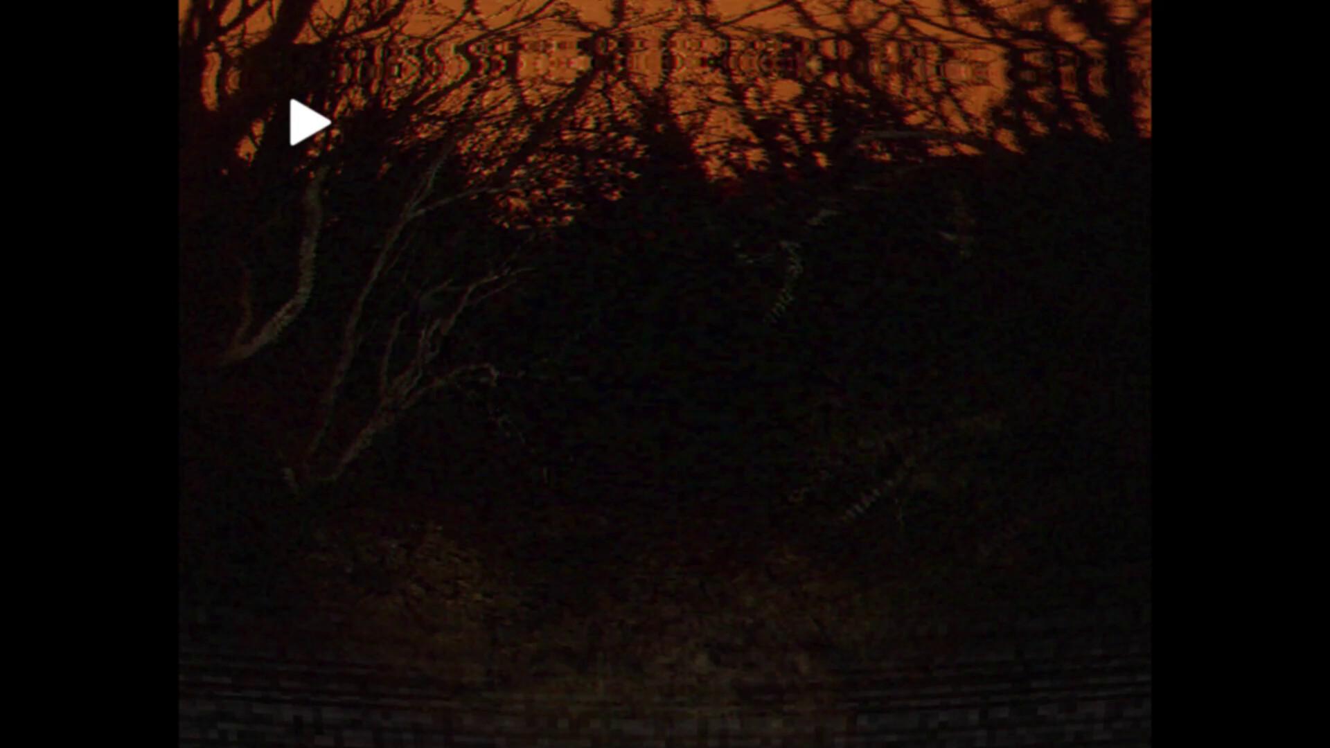 Deeply Dark: Files screenshot 5