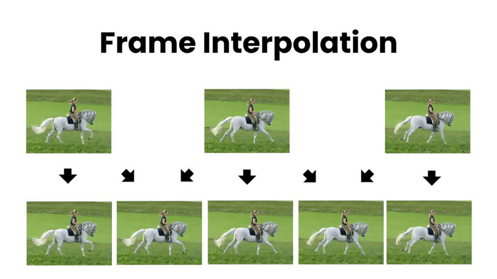 FluidFrames screenshot 2