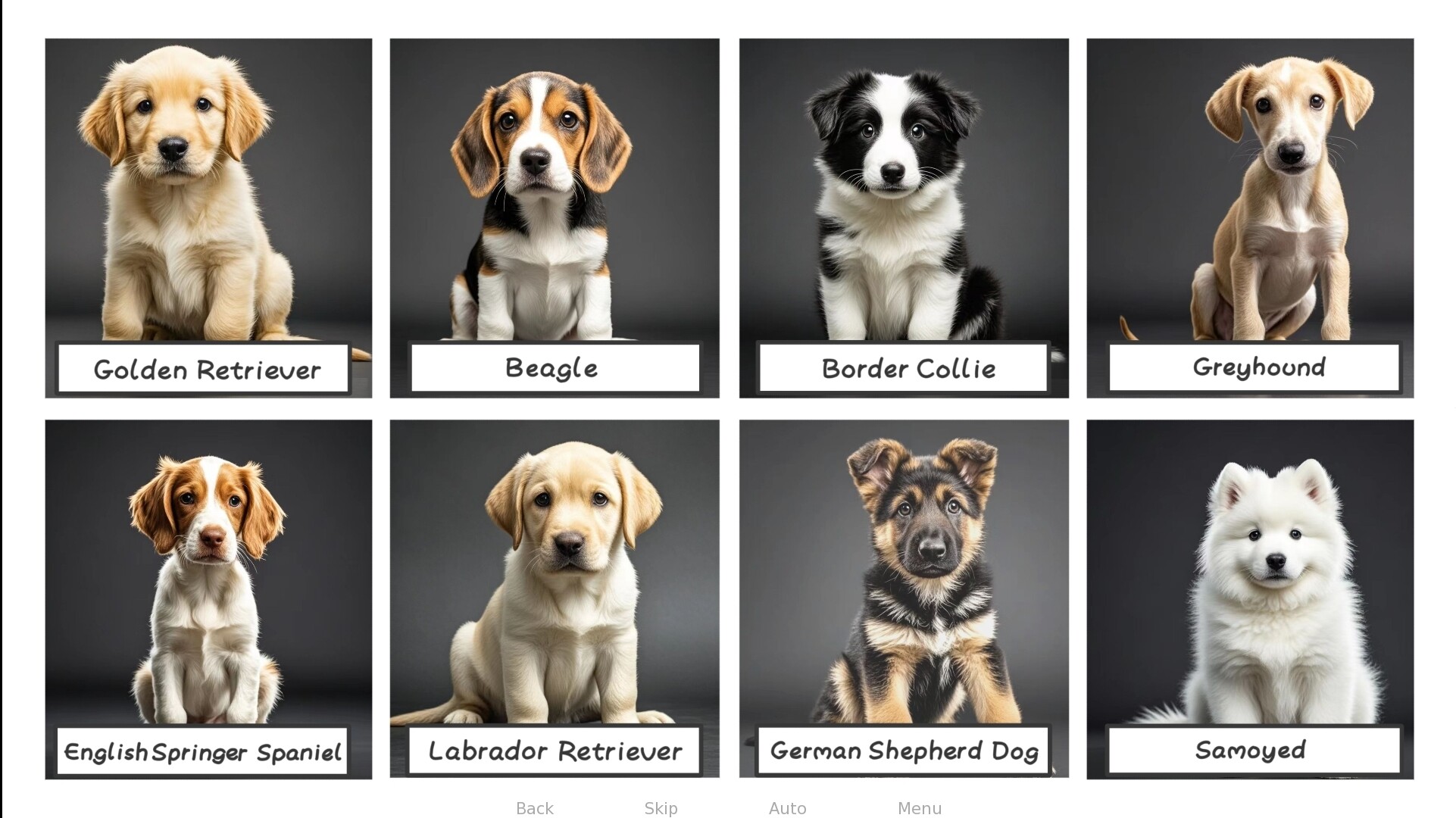 My Puppy screenshot 7