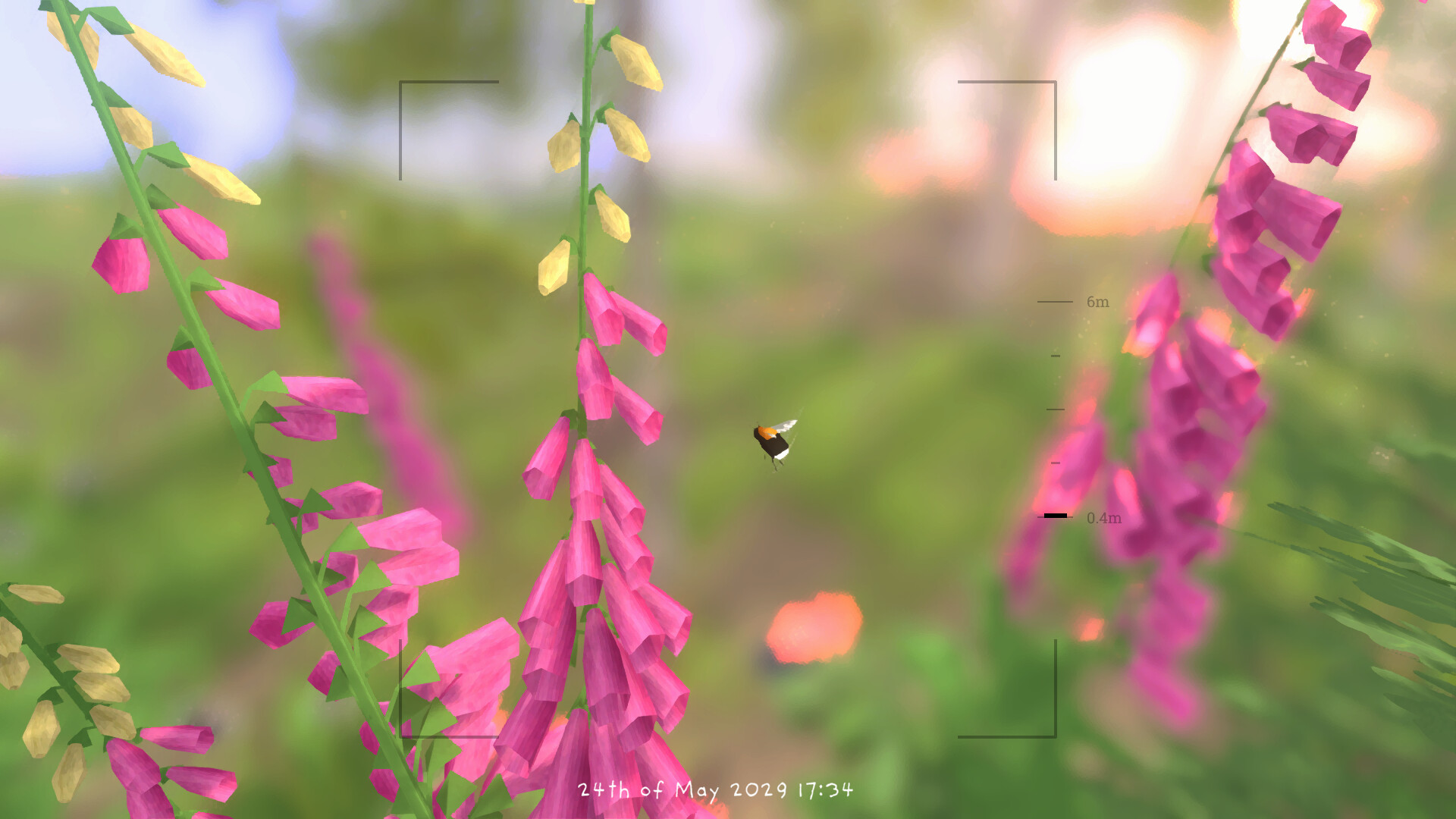 Grow Wild screenshot 8