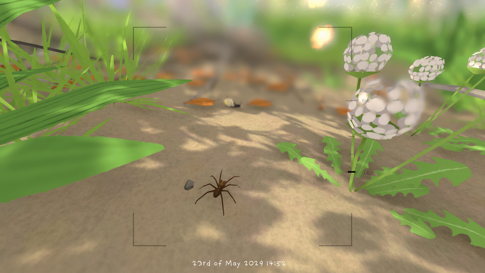 Grow Wild screenshot 6