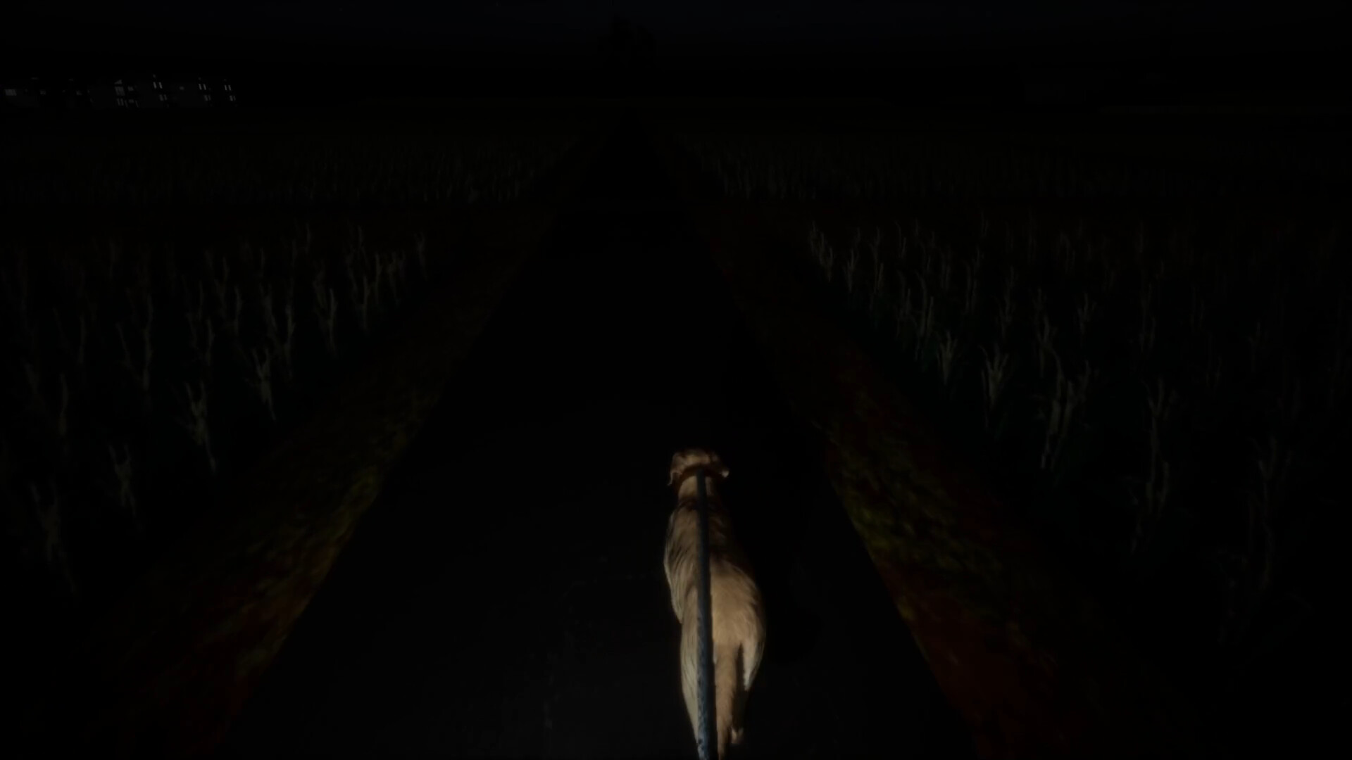 The Paddy Field screenshot 6
