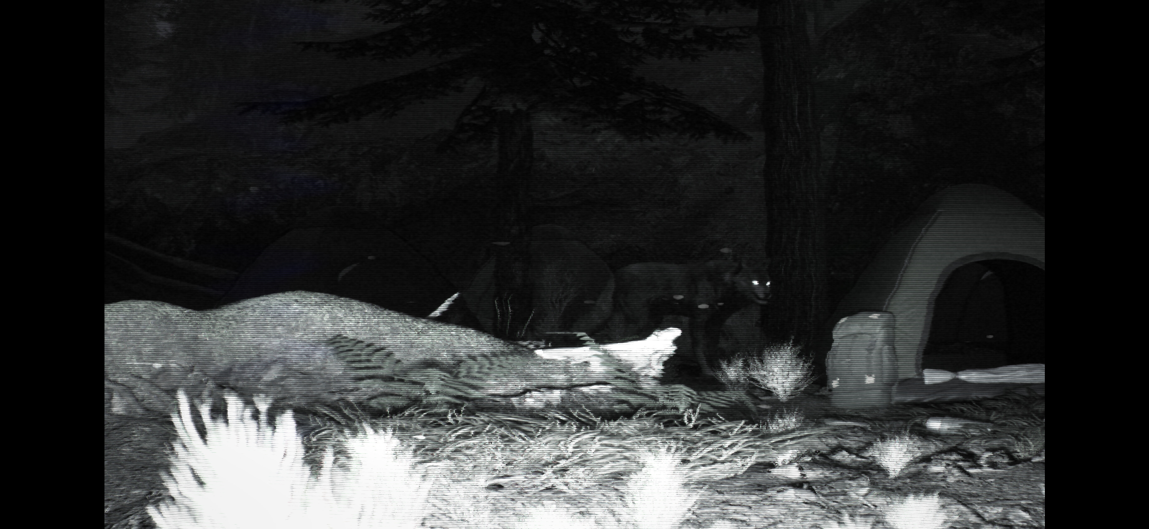 TRAILCAM screenshot 2