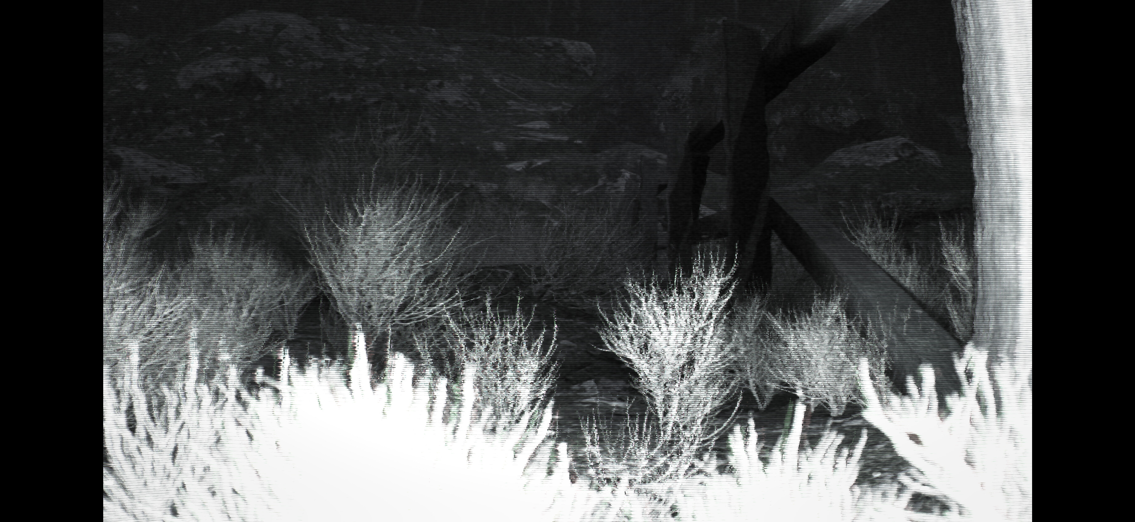 TRAILCAM screenshot 5