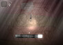 A screenshot of 7 Days