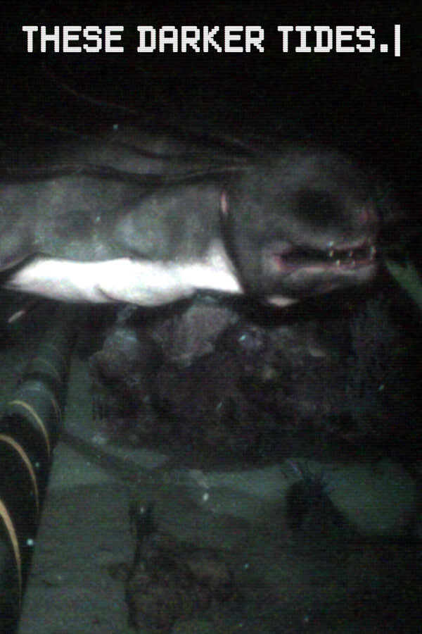 ec60a480-8959-69c0-a55d-db83b779444e