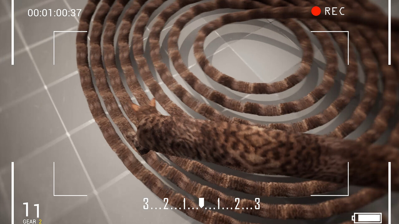 猫咪漂移 Cat Drift screenshot 5