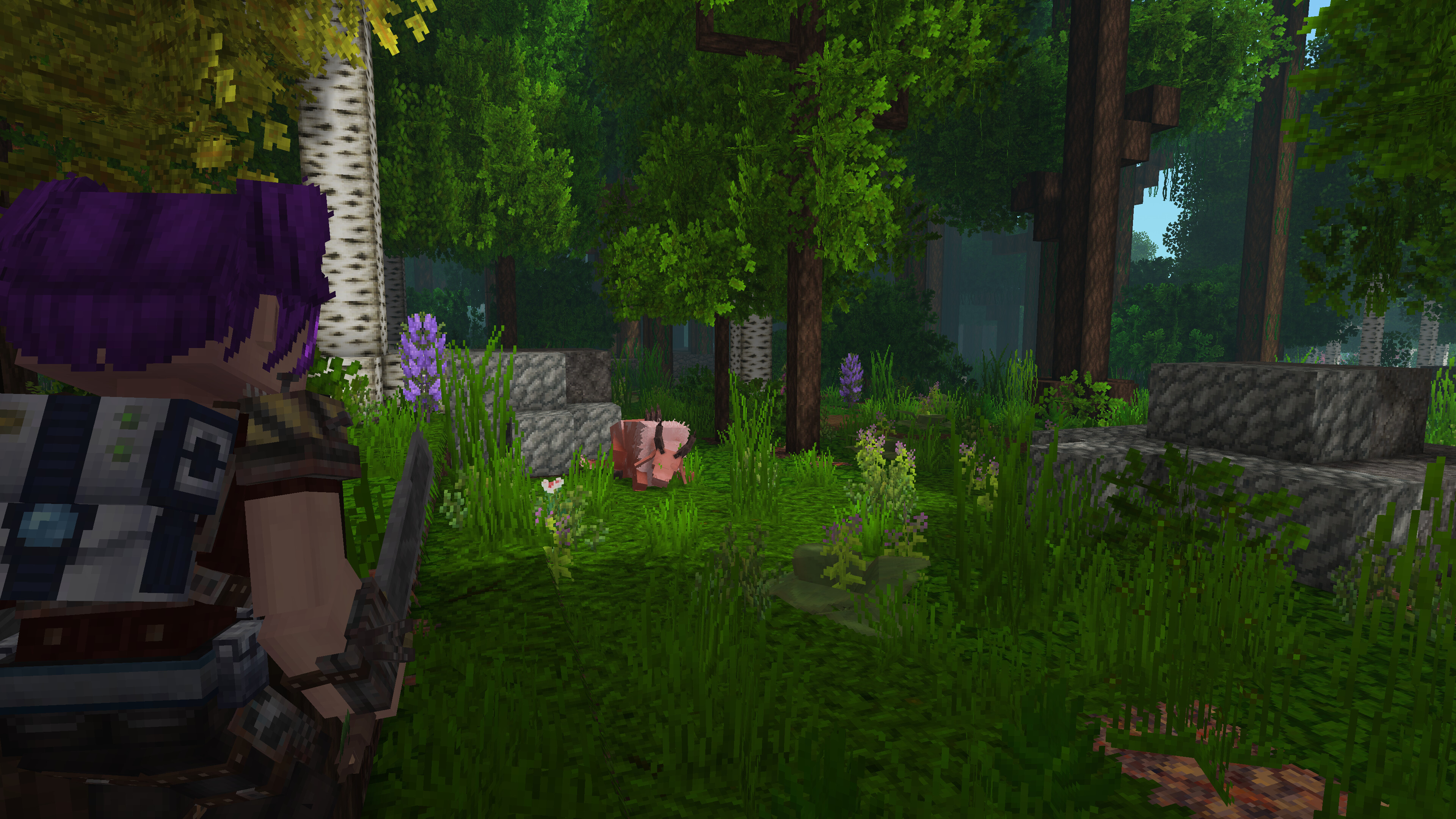Tesera screenshot 6